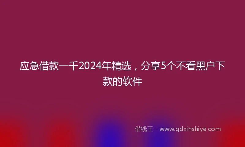应急借款一千2024年精选，分享5个不看黑户下款的软件