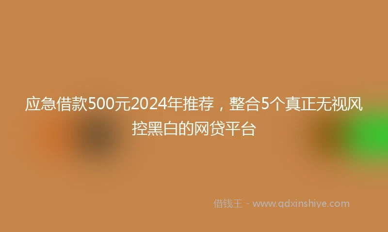 应急借款500元2024年推荐，整合5个真正无视风控黑白的网贷平台