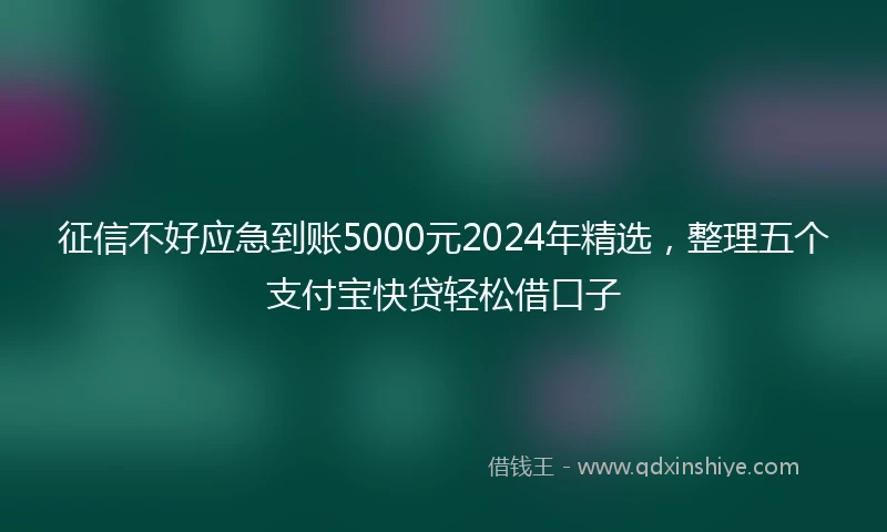 征信不好应急到账5000元2024年精选，整理五个支付宝快贷轻松借口子