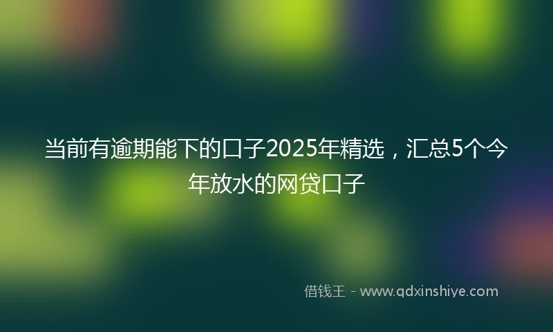 当前有逾期能下的口子2025年精选，汇总5个今年放水的网贷口子