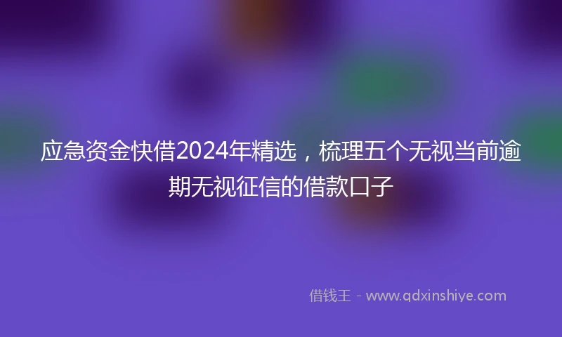 应急资金快借2024年精选，梳理五个无视当前逾期无视征信的借款口子