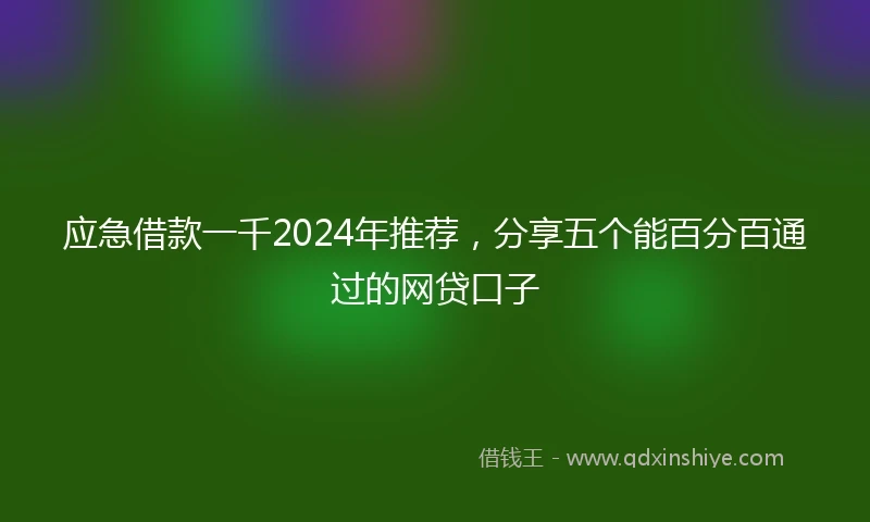 应急借款一千2024年推荐，分享五个能百分百通过的网贷口子