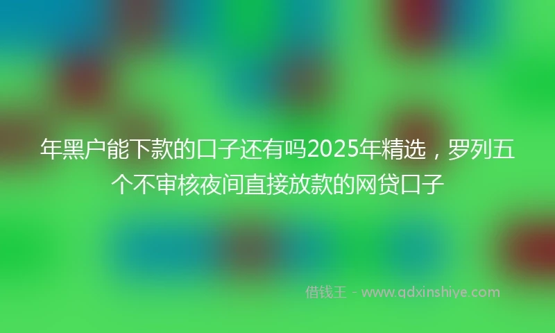 年黑户能下款的口子还有吗2025年精选，罗列五个不审核夜间直接放款的网贷口子