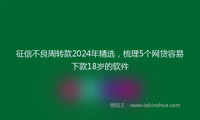 征信不良周转款2024年精选，梳理5个网贷容易下款18岁的软件