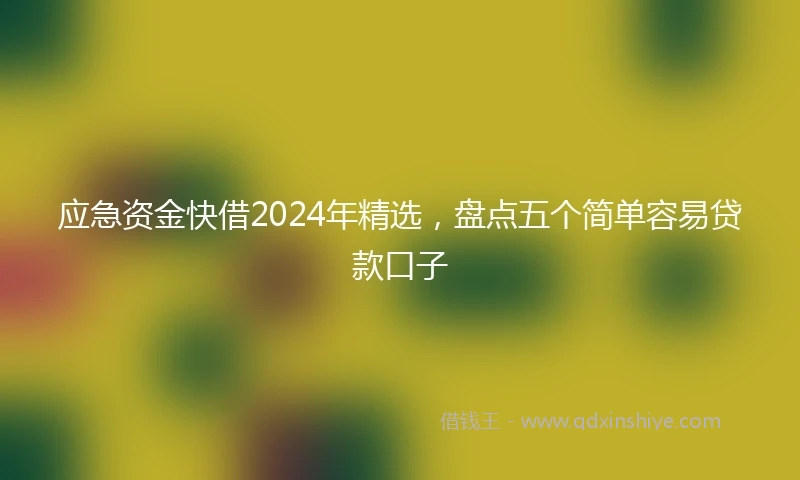 应急资金快借2024年精选，盘点五个简单容易贷款口子