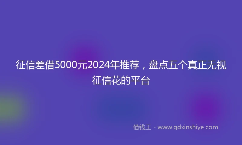 征信差借5000元2024年推荐，盘点五个真正无视征信花的平台
