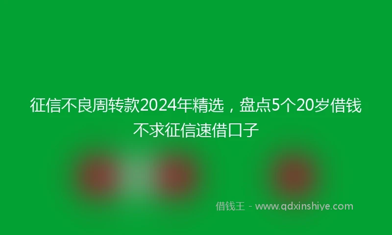 征信不良周转款2024年精选，盘点5个20岁借钱不求征信速借口子