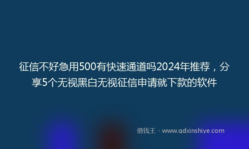 征信不好急用500有快速通道吗2024年推荐，分享5个无视黑白无视征信申请就下款的软件