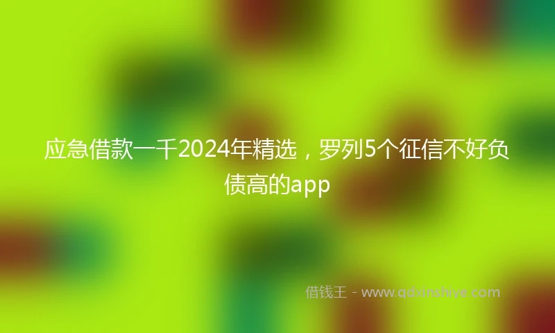 应急借款一千2024年精选，罗列5个征信不好负债高的app
