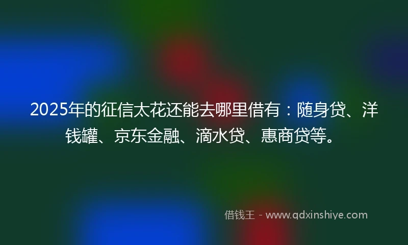2025年的征信太花还能去哪里借有：随身贷、洋钱罐、京东金融、滴水贷、惠商贷等。