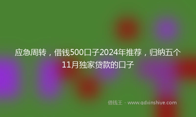 应急周转，借钱500口子2024年推荐，归纳五个11月独家贷款的口子