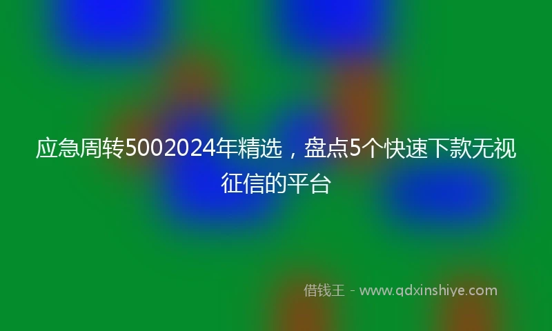 应急周转5002024年精选，盘点5个快速下款无视征信的平台