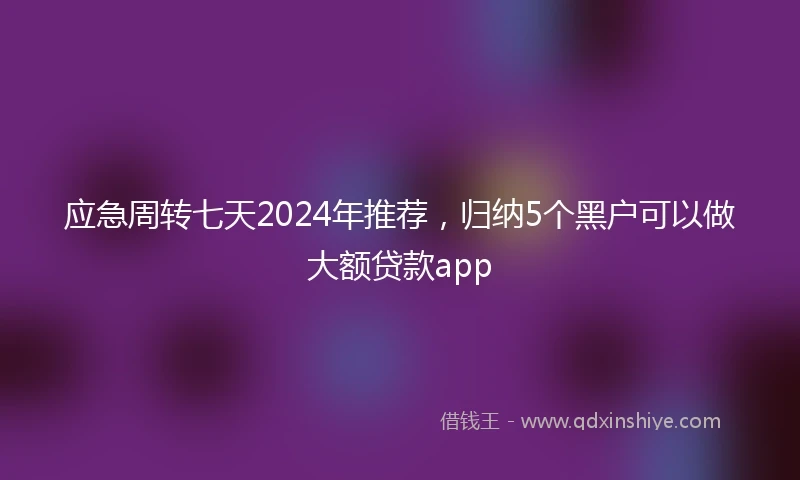 应急周转七天2024年推荐，归纳5个黑户可以做大额贷款app