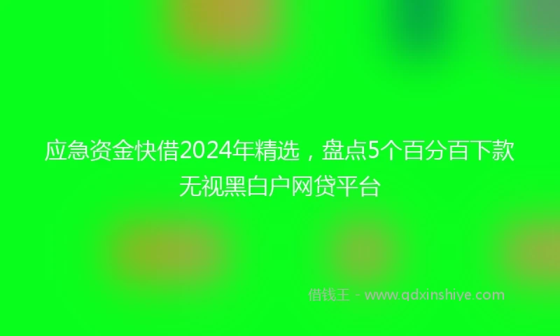应急资金快借2024年精选，盘点5个百分百下款无视黑白户网贷平台