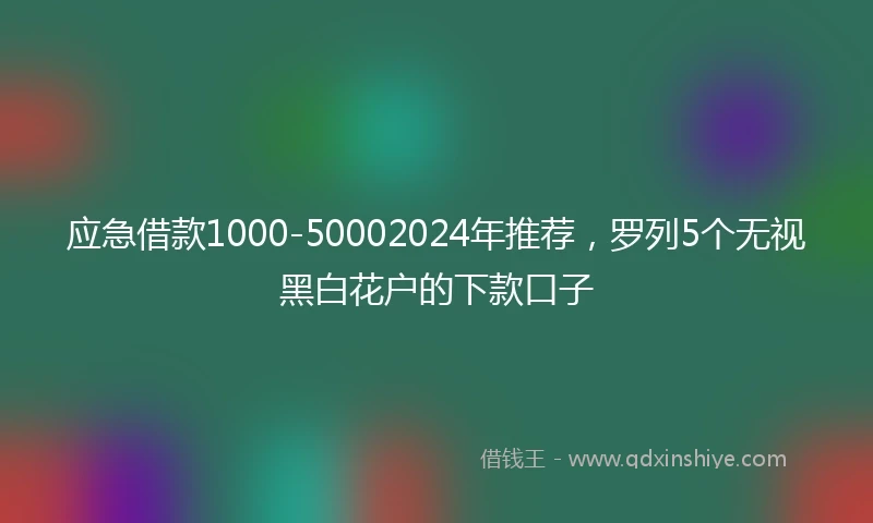 应急借款1000-50002024年推荐，罗列5个无视黑白花户的下款口子