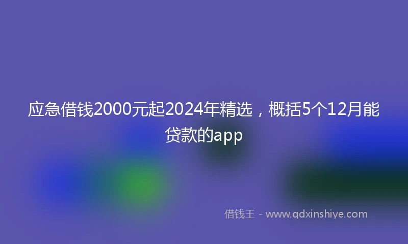 应急借钱2000元起2024年精选，概括5个12月能贷款的app