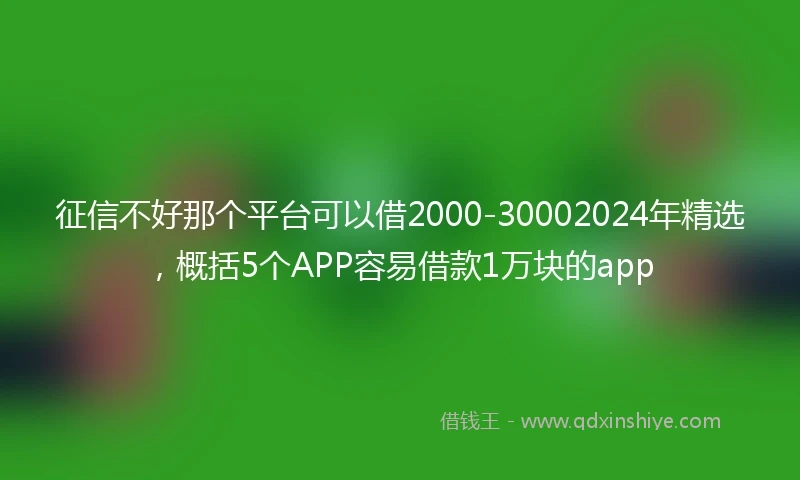 征信不好那个平台可以借2000-30002024年精选，概括5个APP容易借款1万块的app