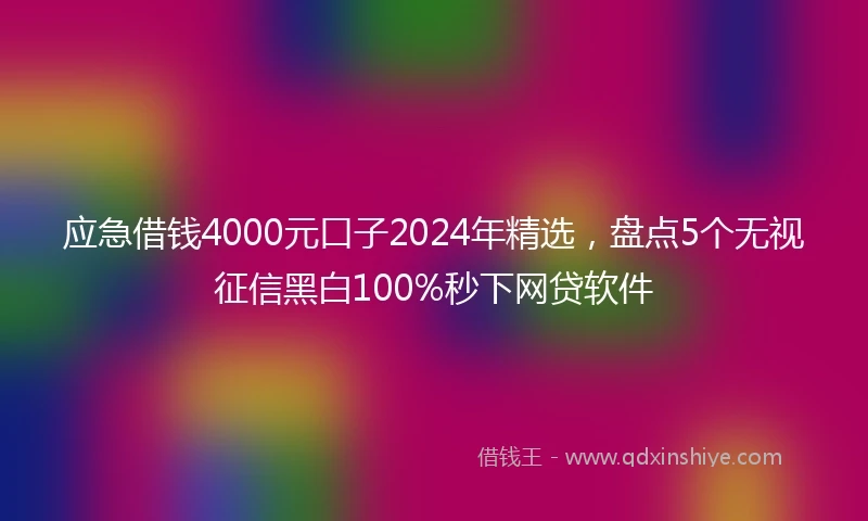 应急借钱4000元口子2024年精选，盘点5个无视征信黑白100%秒下网贷软件