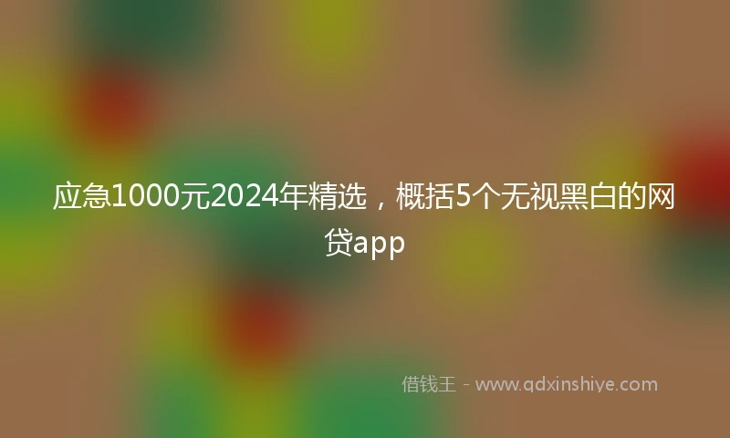 应急1000元2024年精选，概括5个无视黑白的网贷app