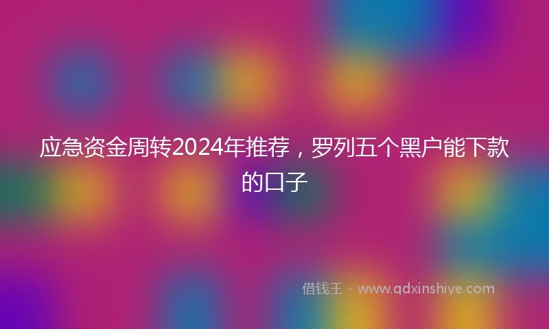 应急资金周转2024年推荐，罗列五个黑户能下款的口子