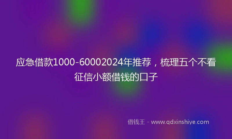 应急借款1000-60002024年推荐，梳理五个不看征信小额借钱的口子