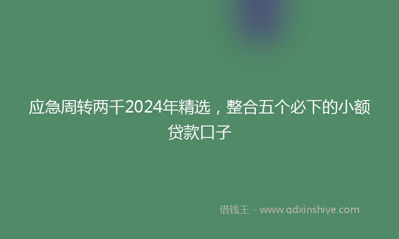 应急周转两千2024年精选，整合五个必下的小额贷款口子