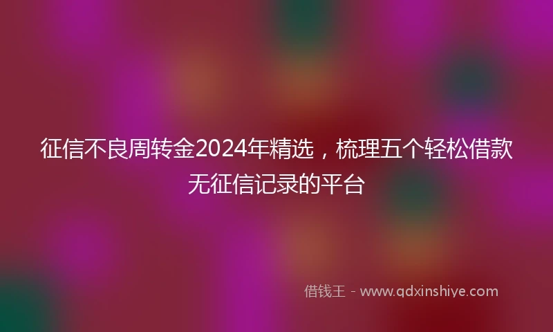 征信不良周转金2024年精选，梳理五个轻松借款无征信记录的平台
