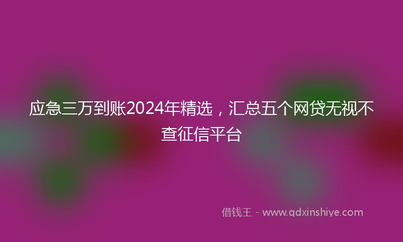应急三万到账2024年精选，汇总五个网贷无视不查征信平台