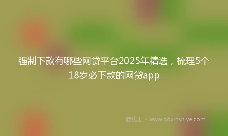 强制下款有哪些网贷平台2025年精选，梳理5个18岁必下款的网贷app