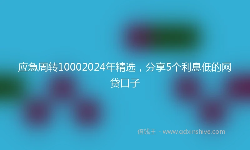 应急周转10002024年精选，分享5个利息低的网贷口子