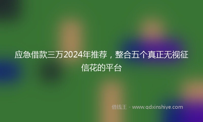 应急借款三万2024年推荐，整合五个真正无视征信花的平台