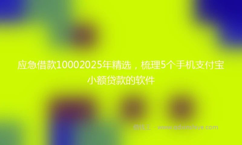 应急借款10002025年精选，梳理5个手机支付宝小额贷款的软件