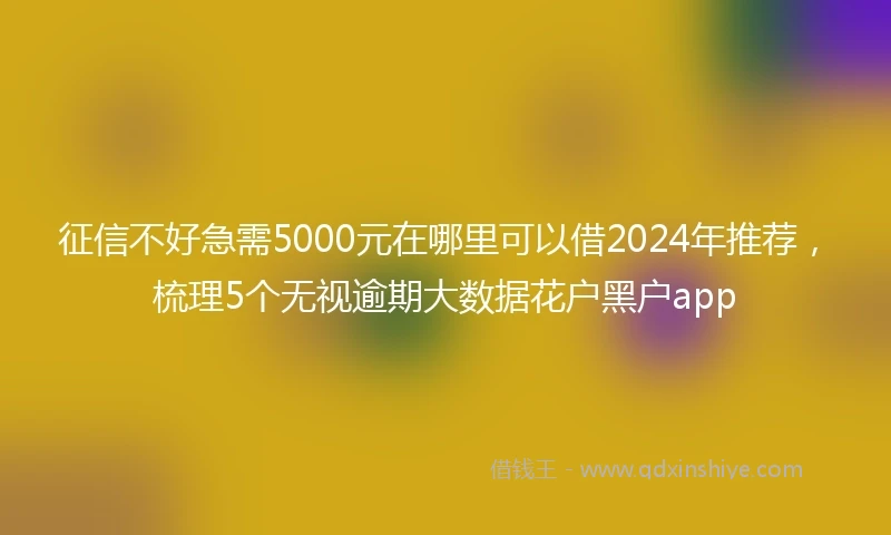 征信不好急需5000元在哪里可以借2024年推荐，梳理5个无视逾期大数据花户黑户app