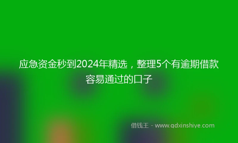 应急资金秒到2024年精选，整理5个有逾期借款容易通过的口子