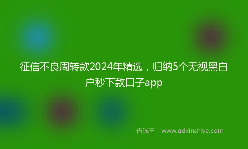 征信不良周转款2024年精选，归纳5个无视黑白户秒下款口子app