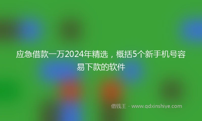 应急借款一万2024年精选，概括5个新手机号容易下款的软件