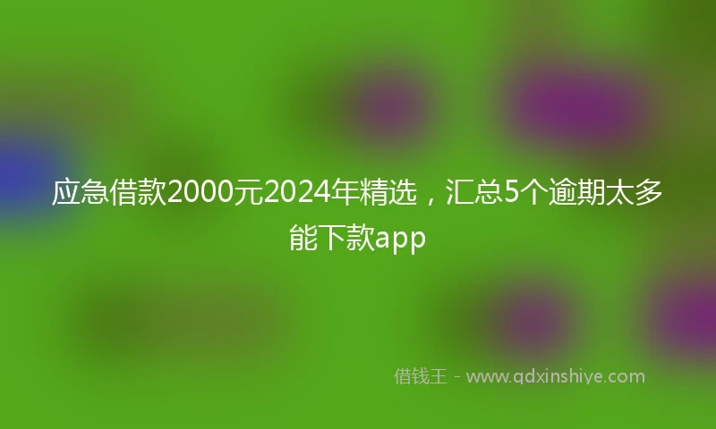 应急借款2000元2024年精选，汇总5个逾期太多能下款app