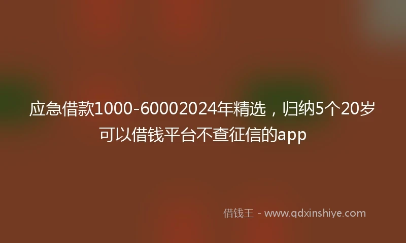 应急借款1000-60002024年精选，归纳5个20岁可以借钱平台不查征信的app