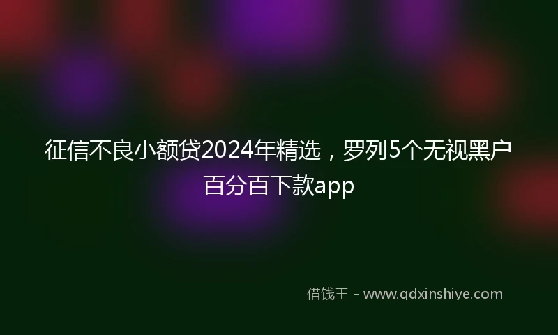征信不良小额贷2024年精选，罗列5个无视黑户百分百下款app