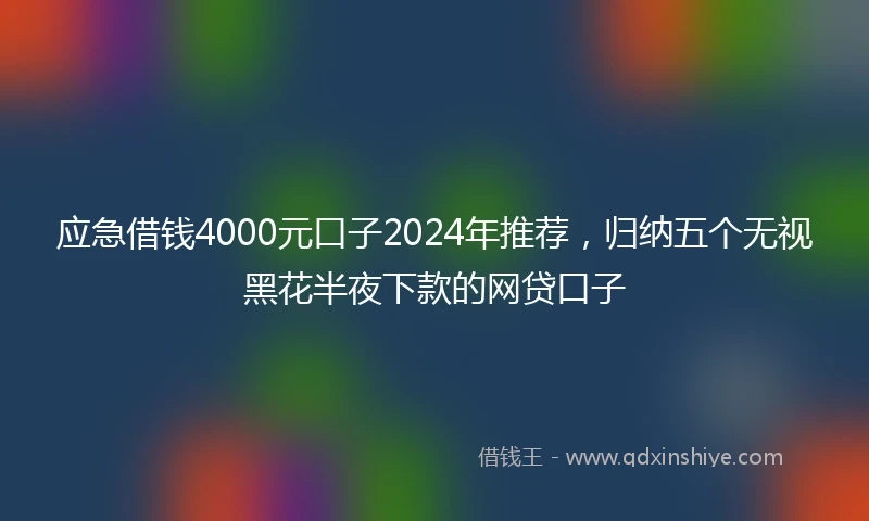 应急借钱4000元口子2024年推荐，归纳五个无视黑花半夜下款的网贷口子