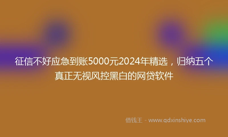 征信不好应急到账5000元2024年精选，归纳五个真正无视风控黑白的网贷软件