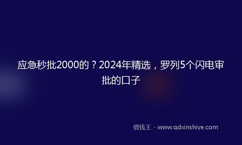 应急秒批2000的？2024年精选，罗列5个闪电审批的口子