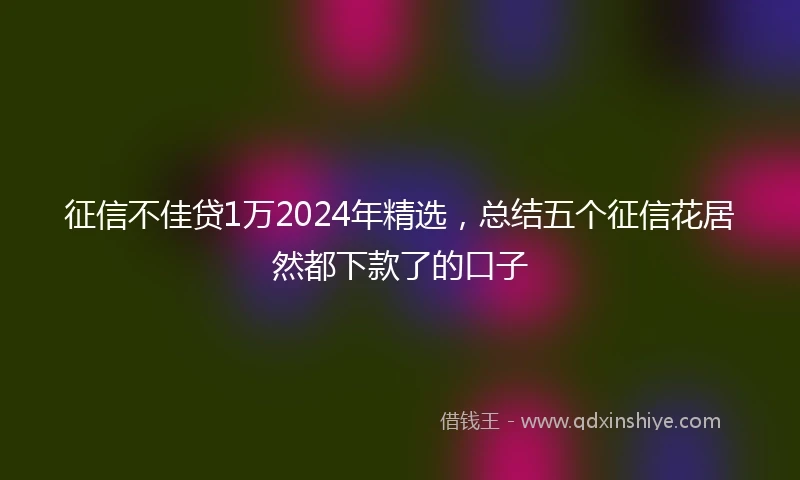 征信不佳贷1万2024年精选，总结五个征信花居然都下款了的口子