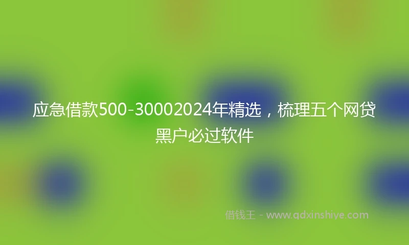 应急借款500-30002024年精选，梳理五个网贷黑户必过软件