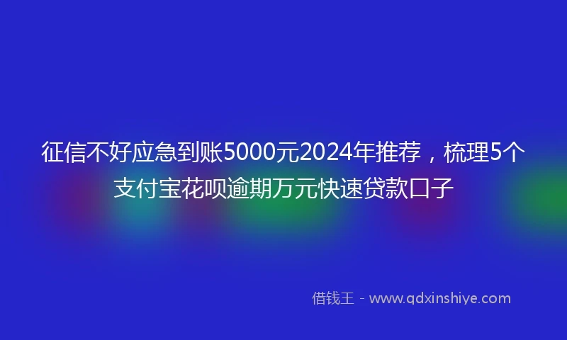 征信不好应急到账5000元2024年推荐，梳理5个支付宝花呗逾期万元快速贷款口子