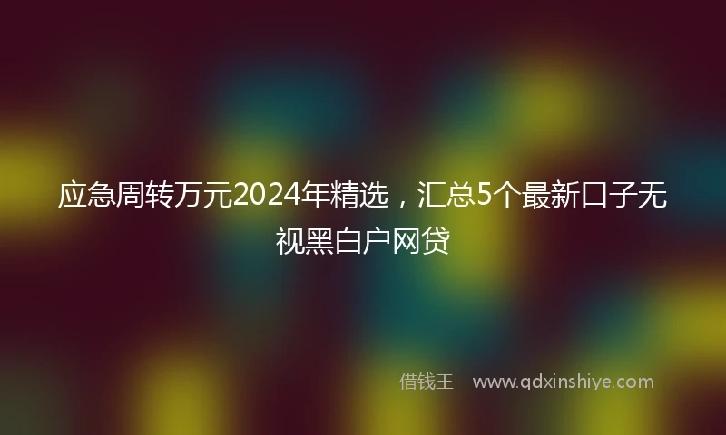 应急周转万元2024年精选，汇总5个最新口子无视黑白户网贷