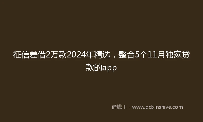 征信差借2万款2024年精选，整合5个11月独家贷款的app