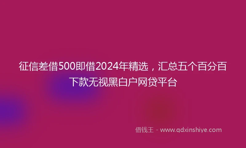 征信差借500即借2024年精选，汇总五个百分百下款无视黑白户网贷平台