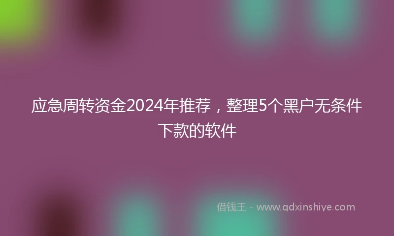 应急周转资金2024年推荐，整理5个黑户无条件下款的软件