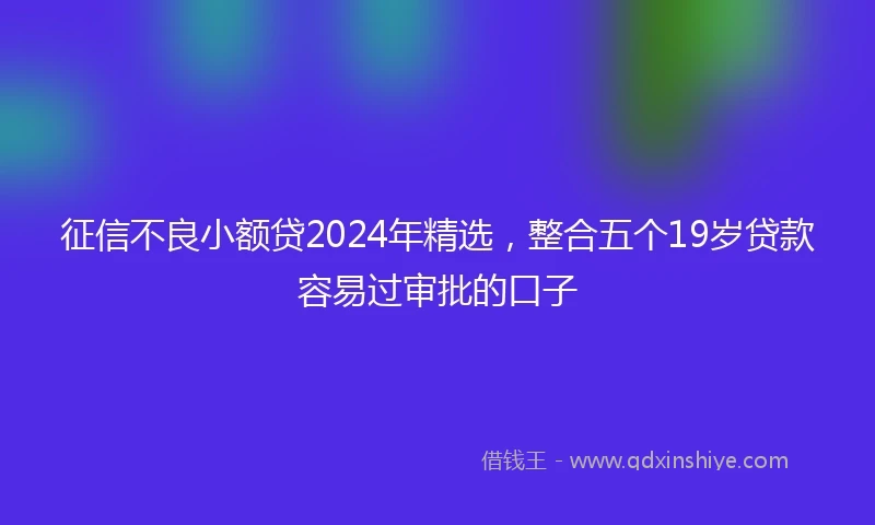 征信不良小额贷2024年精选，整合五个19岁贷款容易过审批的口子